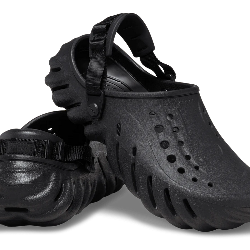 207937-001/Echo Clog